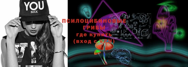 a pvp Аркадак