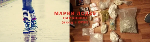 a pvp Аркадак
