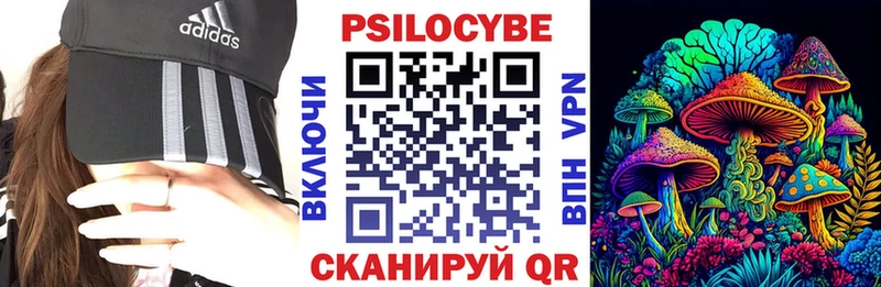 ссылка на мегу ссылки наркошоп Салехард Псилоцибиновые грибы ЛСД