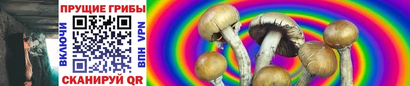 Галлюциногенные грибы Magic Shrooms Салехард